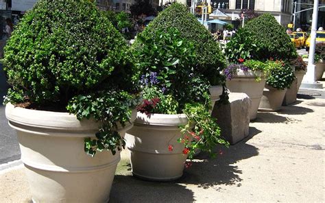 Extra-large Lightweight Planters—Where to Get Them & Benefits They Offer - TerraCast ...