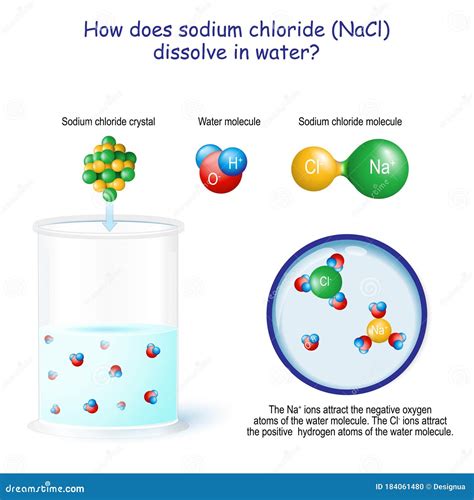 How Does Sodium Chloride NaCl Dissolve in Water Stock Vector - Illustration of physics, energy ...