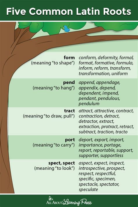 Five common Latin roots, plus downloadable word trees and teaching tips ...