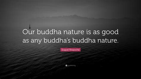 Sogyal Rinpoche Quote: “Our buddha nature is as good as any buddha’s ...