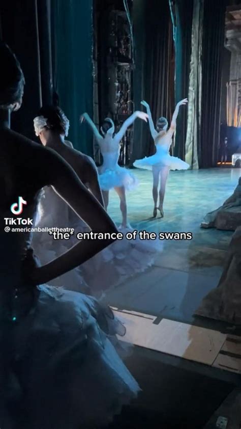 Who loves swan lake?🦢 | Ballet dance videos, Ballet dancers, Ballet inspiration