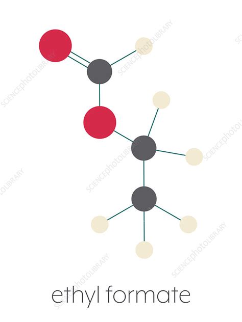 Ethyl formate molecule, illustration - Stock Image - F027/8588 - Science Photo Library