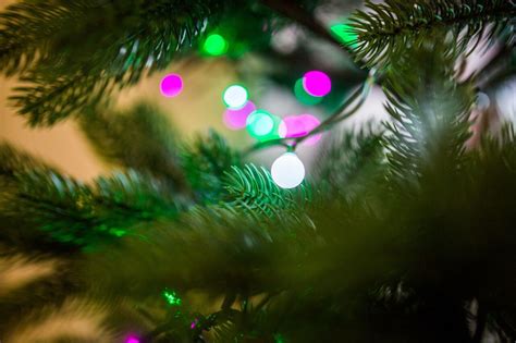 Free photo "Christmas Tree Lights Bokeh" by NegativeSpace