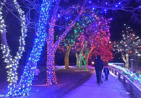 Denver Botanic Gardens Trail of Lights is a Hit with the Kids - Pure Wander