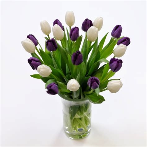 Purple & White Tulips: Fresh Flowers: Tulips.com