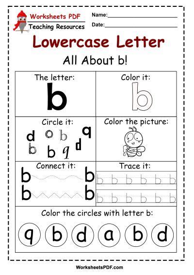 Letter B Worksheets PDF – Recognize, Trace, & Print