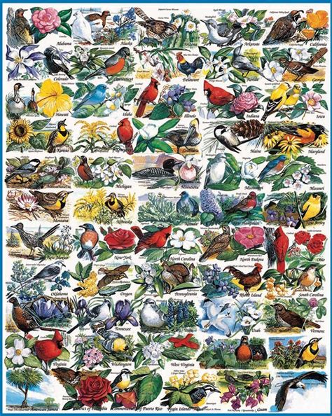 Beautiful Bird Jigsaw Puzzles For Bird Lovers