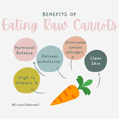 Benefits of Eating Raw Carrots + Raw Carrot Salad Recipe — WILD + WELL ...