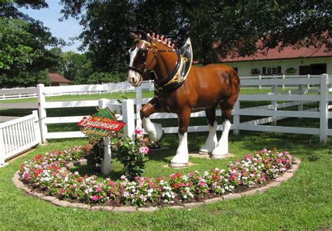 Budweiser Clydesdales at Grant's Farm and the Brewery, St Louis, Misouri - Travel Photos by ...