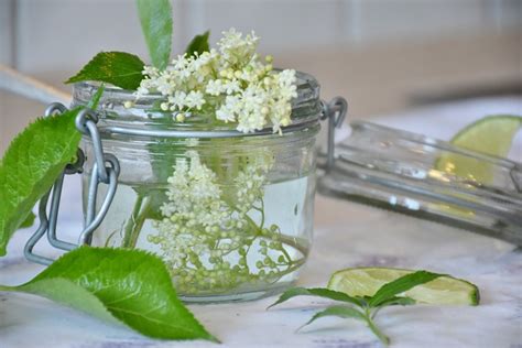 Elder Elderflower Syrup - Free photo on Pixabay