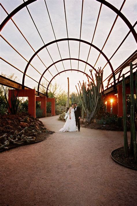 A beautiful wedding at the Desert Botanical Gardens Phoenix Photo By ...