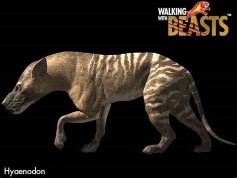 Hyaenodon | Dinosaur Alive Wiki | FANDOM powered by Wikia