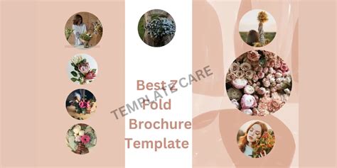 Best Z Fold Brochure Template Free Download-TemplateCare