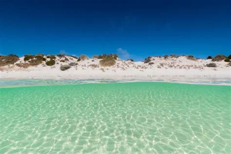 Rottnest Island | Beaches