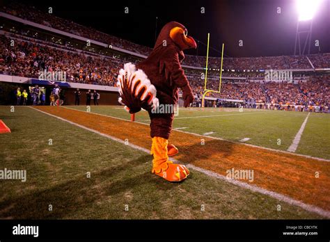 The Virginia Tech Hokies mascot on the sidelines during the fourth quarter at Scott Stadium ...