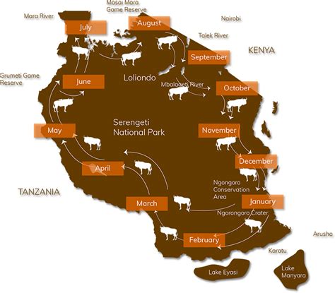 Wildebeest Migration Map