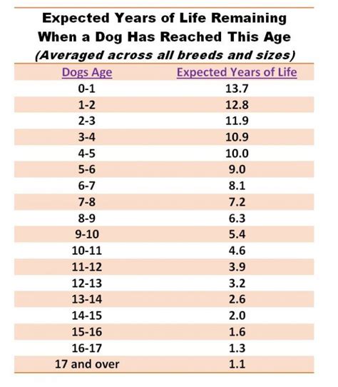 How Long Will Your Dog Live? | Psychology Today