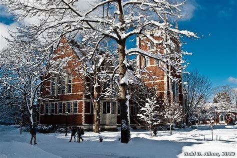 Bowdoin College by Reid Albee