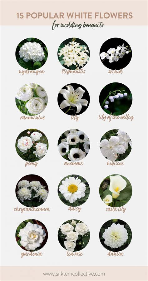 15 Popular White Wedding Flowers - Silk Stem Collective