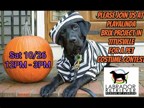 Halloween Dog Costume Contest - Playalinda Brewing Co.