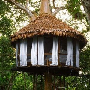 Treehouse Lodge | A Unique Treehouse Hotel In the Peruvian Amazon