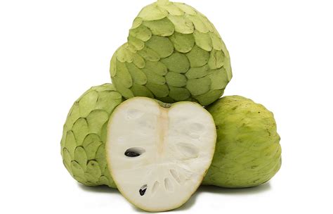 Cherimoya Information and Facts