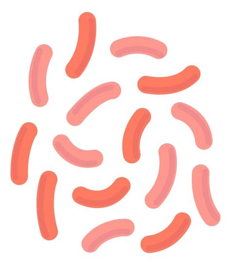 Premium Vector | Rod shaped bacteria cholera disease red cells