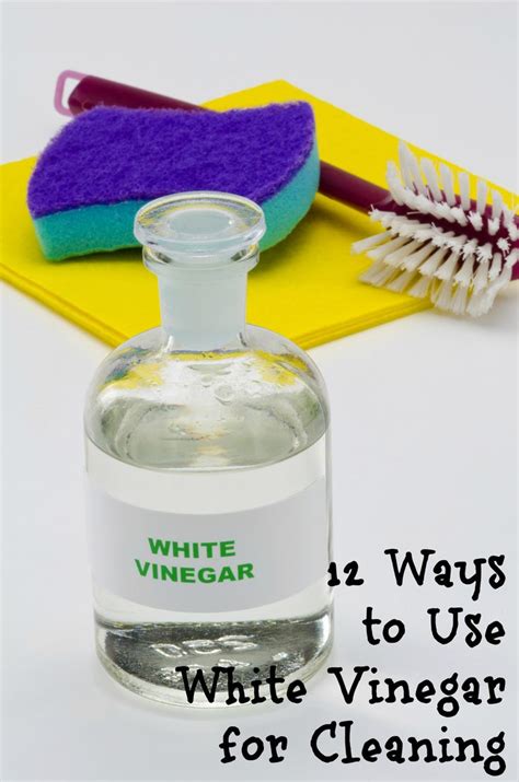 12 Ways to Use White Vinegar for Cleaning 5 (With images) | Vinegar cleaning, Musty smell in ...