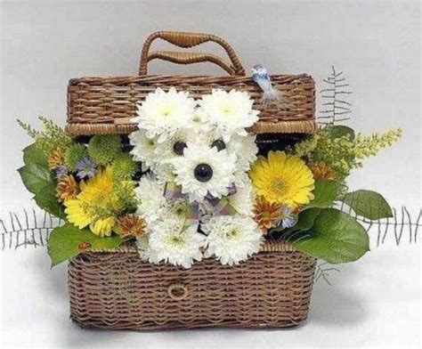 1000+ images about Puppy/Animal Flowers on Pinterest | Floral arrangements, Doggies and Puppys