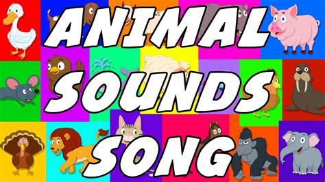 Animals Pictures With Their Sounds