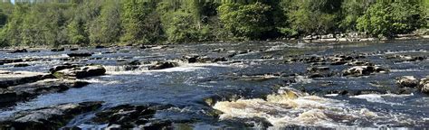 Aysgarth Falls Circular: 16 Reviews, Map - North Yorkshire, England | AllTrails