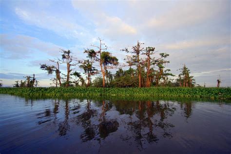 Agusan del Sur – Haven of Natural Wonders