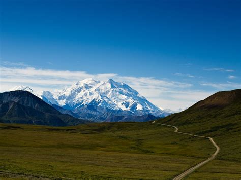 Mount Denali National Park Trail Log | Musky Trails Artisan Candle Co