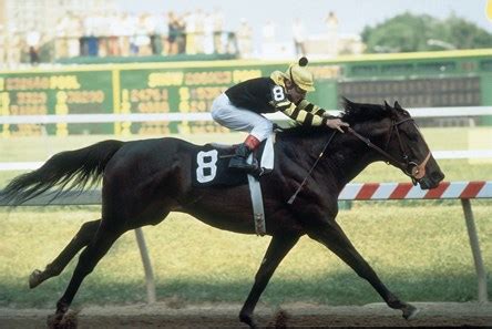 Seattle Slew - Horse Profile - BloodHorse