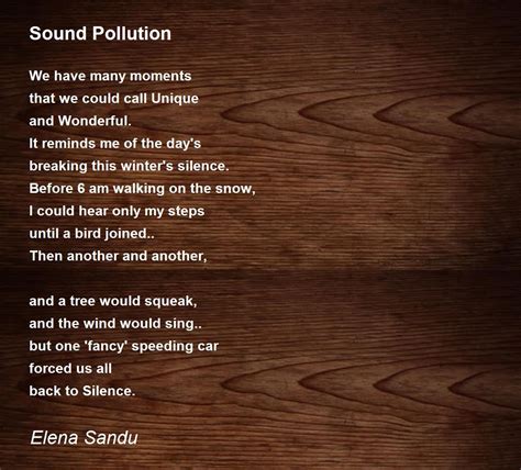 Sound Pollution - Sound Pollution Poem by Elena Sandu