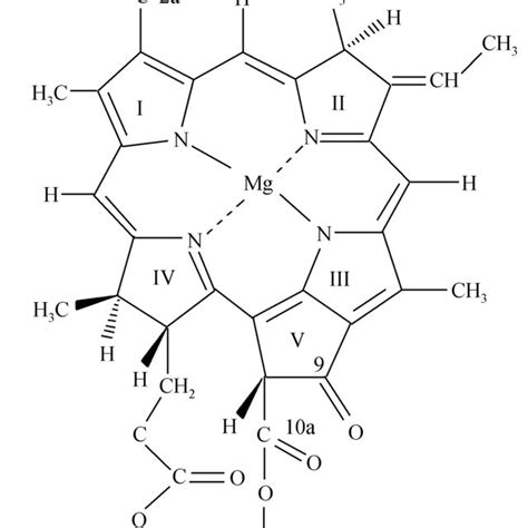 Structure of bacteriochlorophyll b. | Download Scientific Diagram