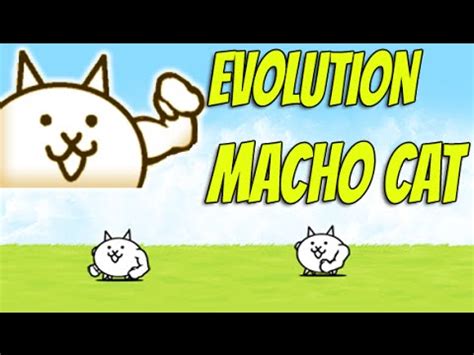 Battle Cats | MACHO CAT !! Evolution Time !! (Episode #5) - YouTube