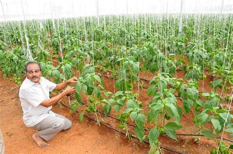 Integrated farming in five districts of tamil nadu