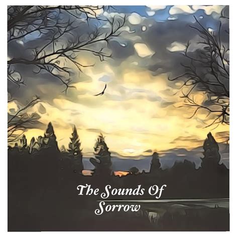 The Sounds Of Sorrow Book 969270 | Front Cover