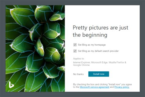 微軟 Bing Wallpaper 每日自動下載更換桌布，附上相片資訊幫你長知識
