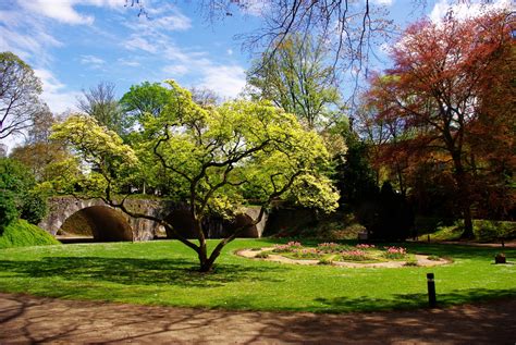 Park In Spring Free Stock Photo - Public Domain Pictures