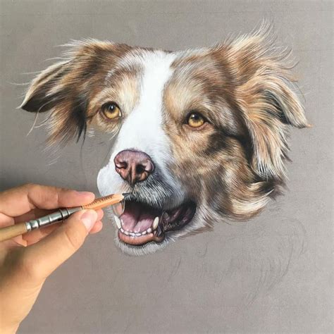 Drawing a dog with colored pencils | Dog portraits art, Dog pop art ...