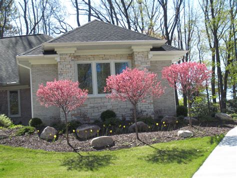 Coralburst crabapple- Red buds opening to coral color flowers. Landscaping Plants, Front Yard ...