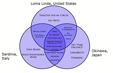 Health and Longevity Lessons from the Blue Zones – EmBee Lifestyle Docs