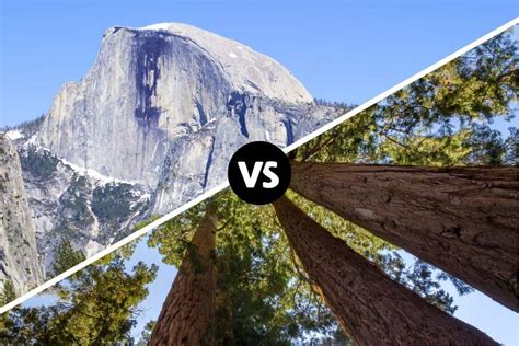 Yosemite vs. Sequoia: Which Is Better from a Hiker