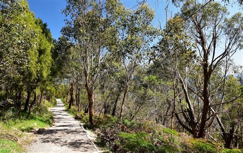 Goin' Feral One Day At A Time: Arthurs Seat Walk, Arthurs Seat State Park - September 2019