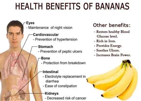 Bananas Good For Your Diet - cyberposts