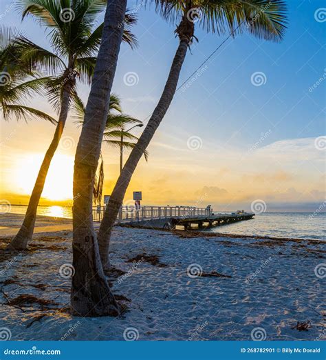 Higgs Pier at Higgs Beach Memorial Park Stock Image - Image of coast ...