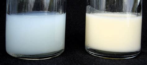 Foremilk Hindmilk Imbalance And How To Prevent It • BabyDotDot