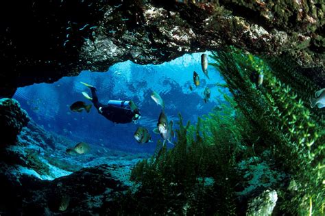 15 Impressive Underwater Caves That Will Mesmerize You – Page 14 – Enthralling